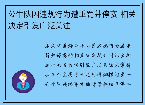 公牛队因违规行为遭重罚并停赛 相关决定引发广泛关注